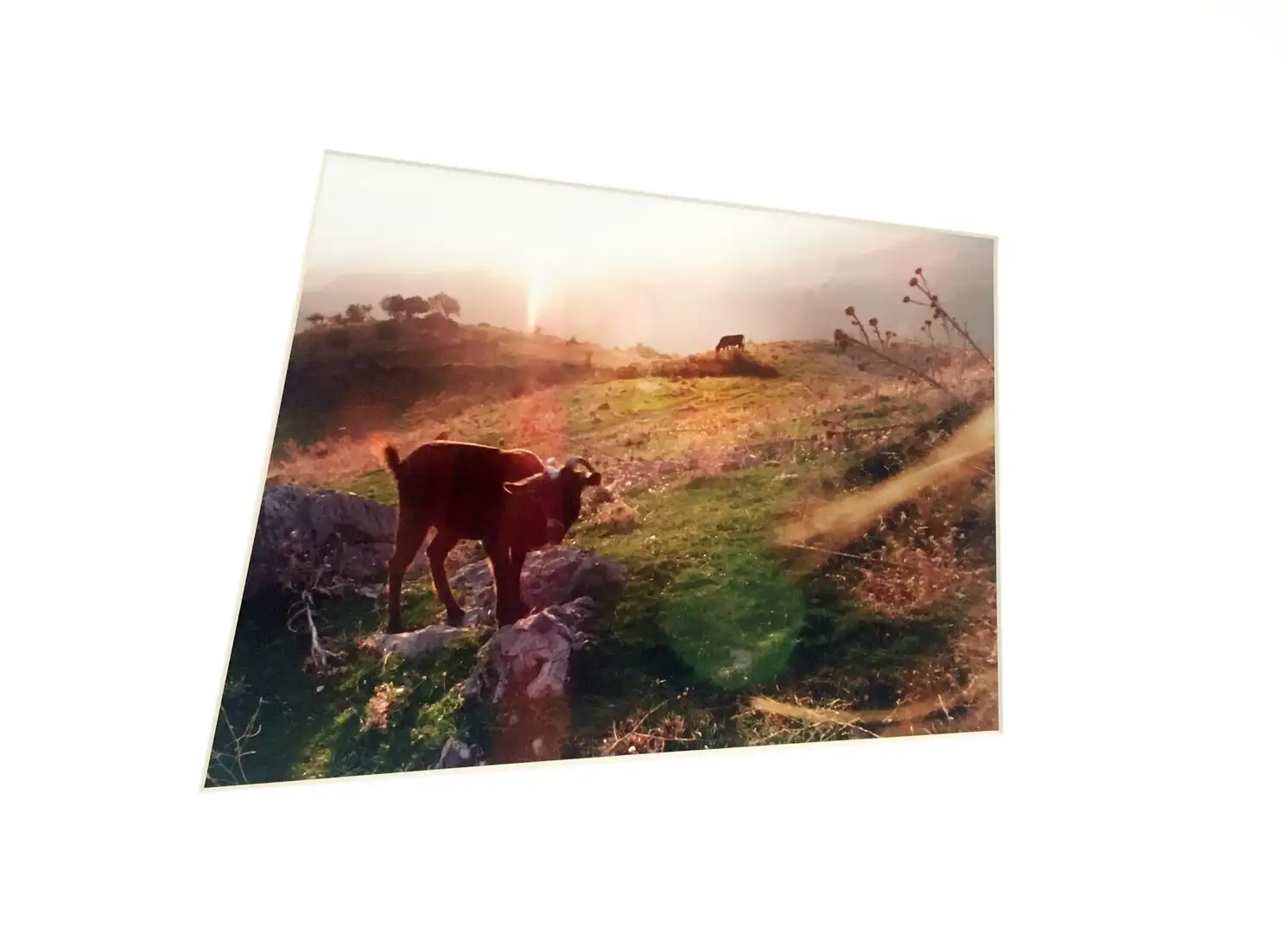 Riseset, Victory of the Sun photograph